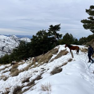 RUTAS RAQUETAS DE NIEVE NIVEL AVANZADO