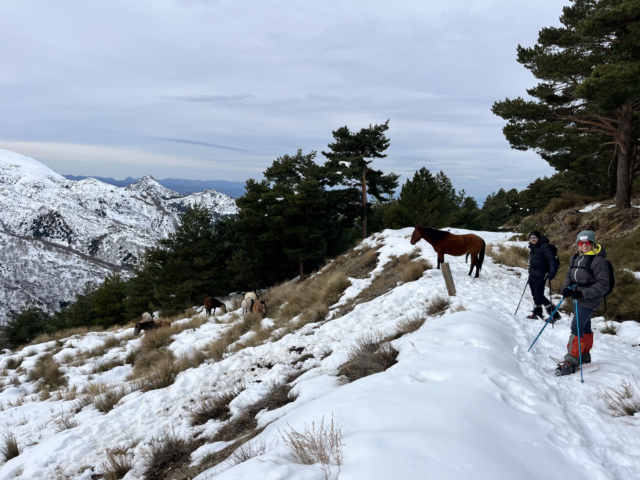 RUTAS RAQUETAS DE NIEVE NIVEL AVANZADO