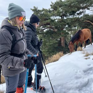 RUTAS RAQUETAS DE NIEVE INICIACIÓN GRANADA